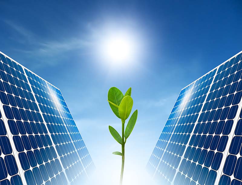 Panneaux photovoltaïques écologie